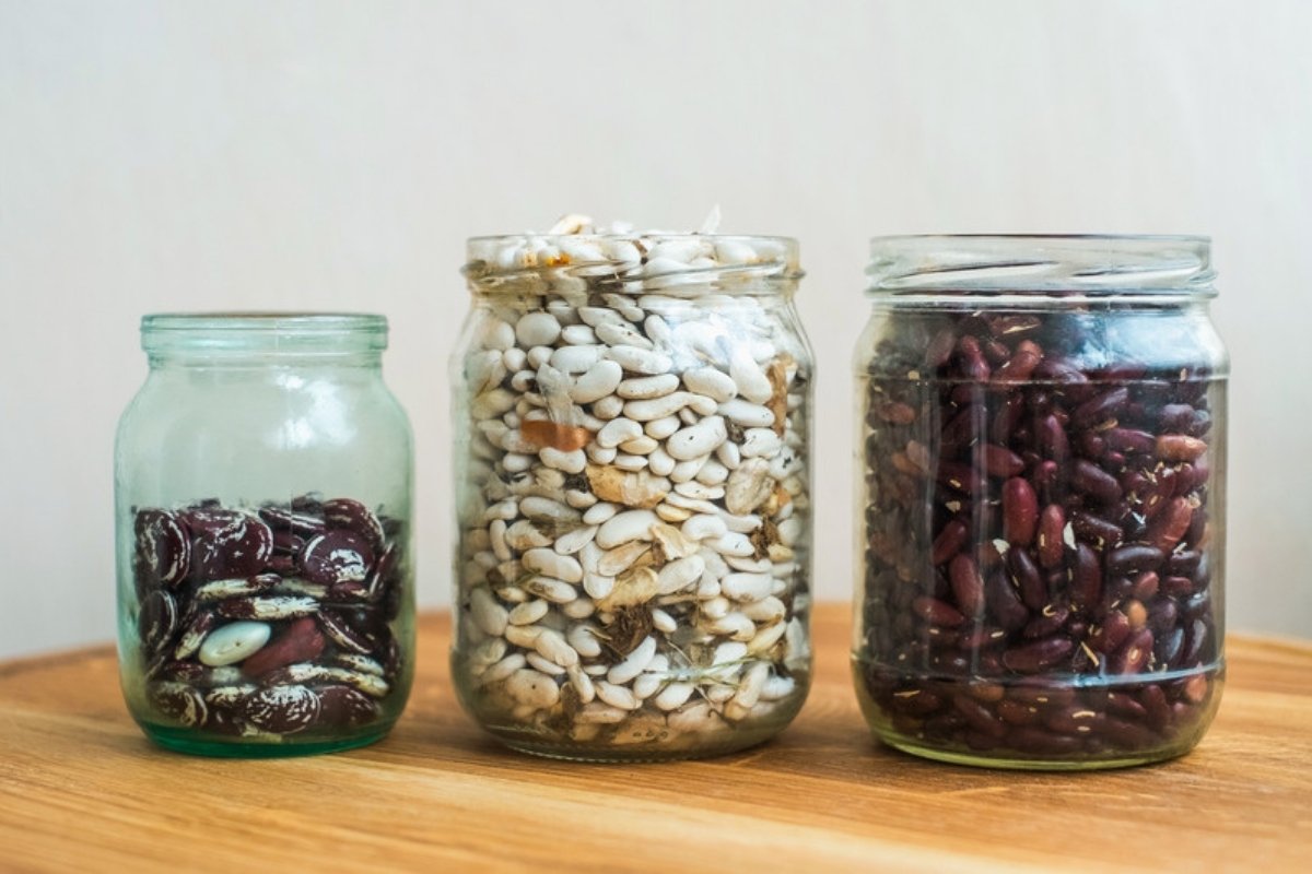 How to save and store your own seed on the farm