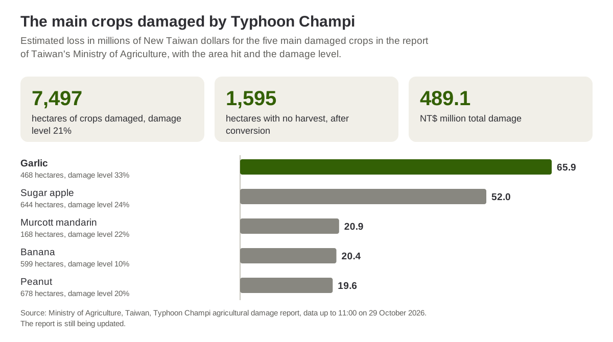 Losses in the five main damaged crops after Typhoon Champi