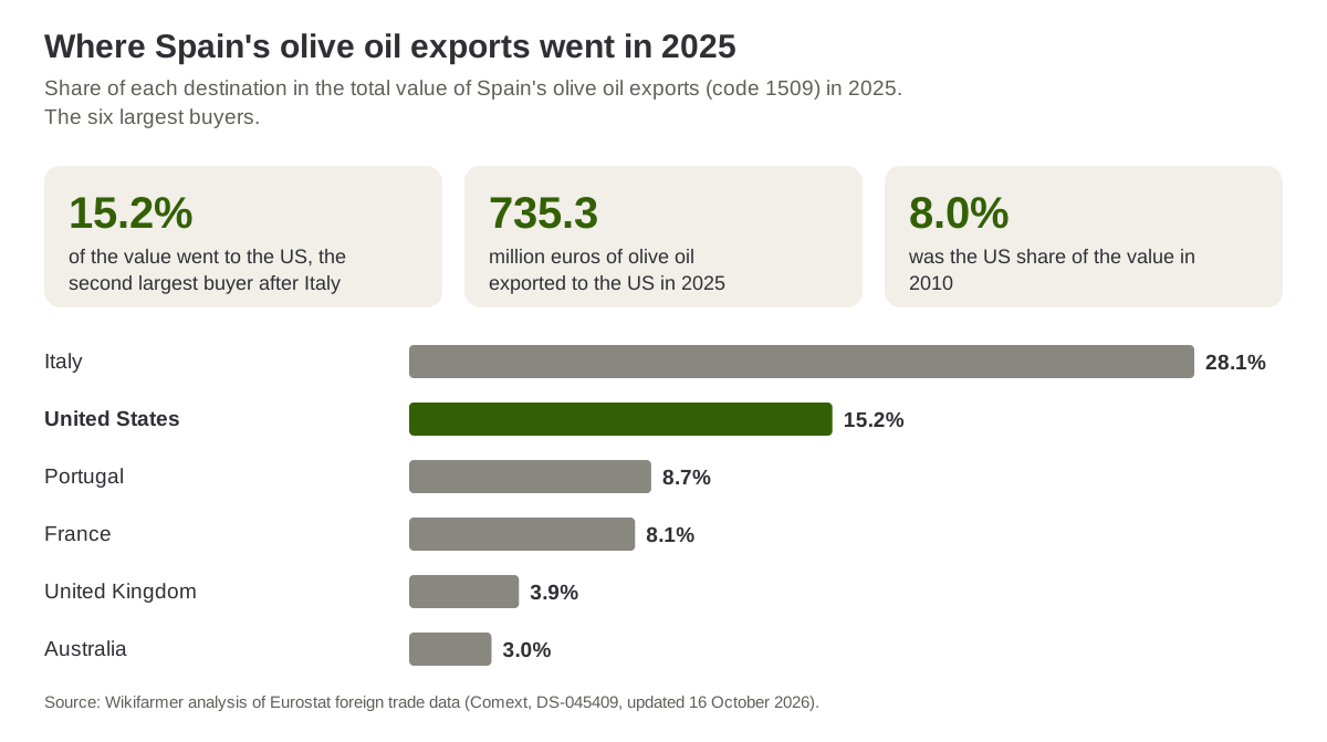 Share of the six largest destinations in the value of Spain's olive oil exports in 2025, with the US second after Italy