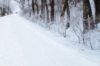 Подготовка ульев к зиме