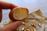 Kartoffelpflanzung Aussaatmenge und Pflanzabstände - Wie viele Saatkartoffeln pro m2? - Wie ist der Reihenabstand bei Kartoffeln?