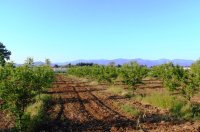 Choix des cultures et du terrain à cultiver, préparation du sol - guide des bonnes pratiques agricoles