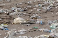 Comprendre les risques de contamination - guide des bonnes pratiques agricoles