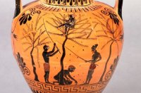Πότε και πώς γίνεται η Συγκομιδή της Ελιάς στην Ελλάδα;