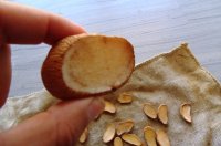 Aardappels zaaien en plantafstand - Hoe ver plant je aardappels uit elkaar?