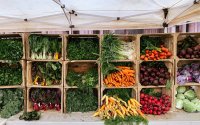 जैवचक्रीय शाकाहारी कृषि (Biocyclic Vegan Agriculture) क्या है?
