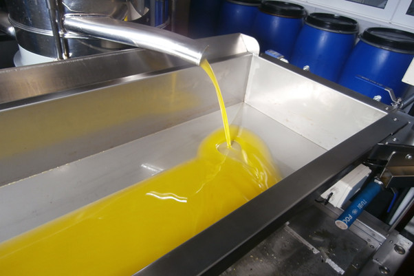 Factors Affecting the Quality of Olive Oil