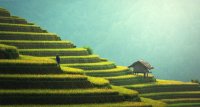 मृदा और जल संरक्षण संरचनाएं