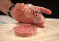 Cellular Agriculture - Cultivated Meat
