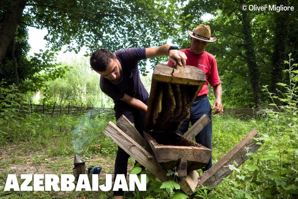 Was ist naturnahe Bienenhaltung, und wie kann ein Landwirt sie praktizieren?