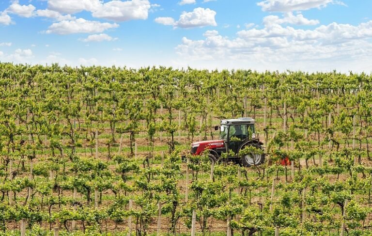 Comment choisir le bon tracteur pour votre exploitation?
