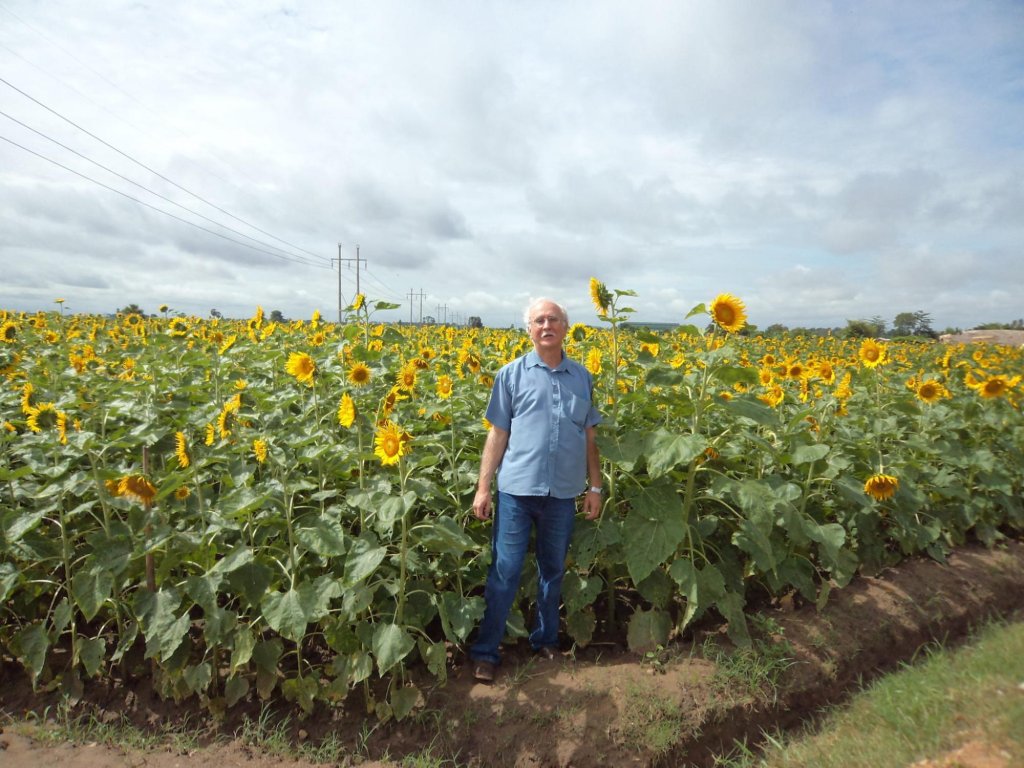 O que é Controle Biológico e como usar na agricultura
