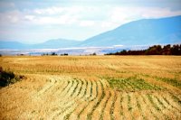 Crédits carbone et pratiques agricoles durables - une vue d'ensemble