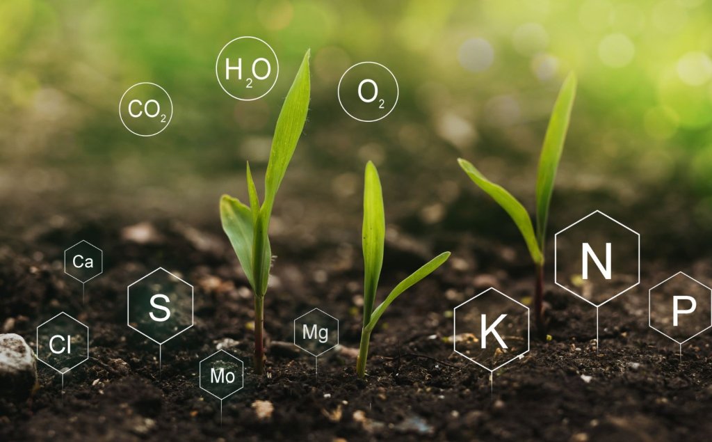 What is sustainable nutrient management?