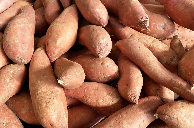 fresh organic yams sweet potatoes garden vegetables farmers marketing Πώς παράγουμε γλυκοπατάτες από φύτρες