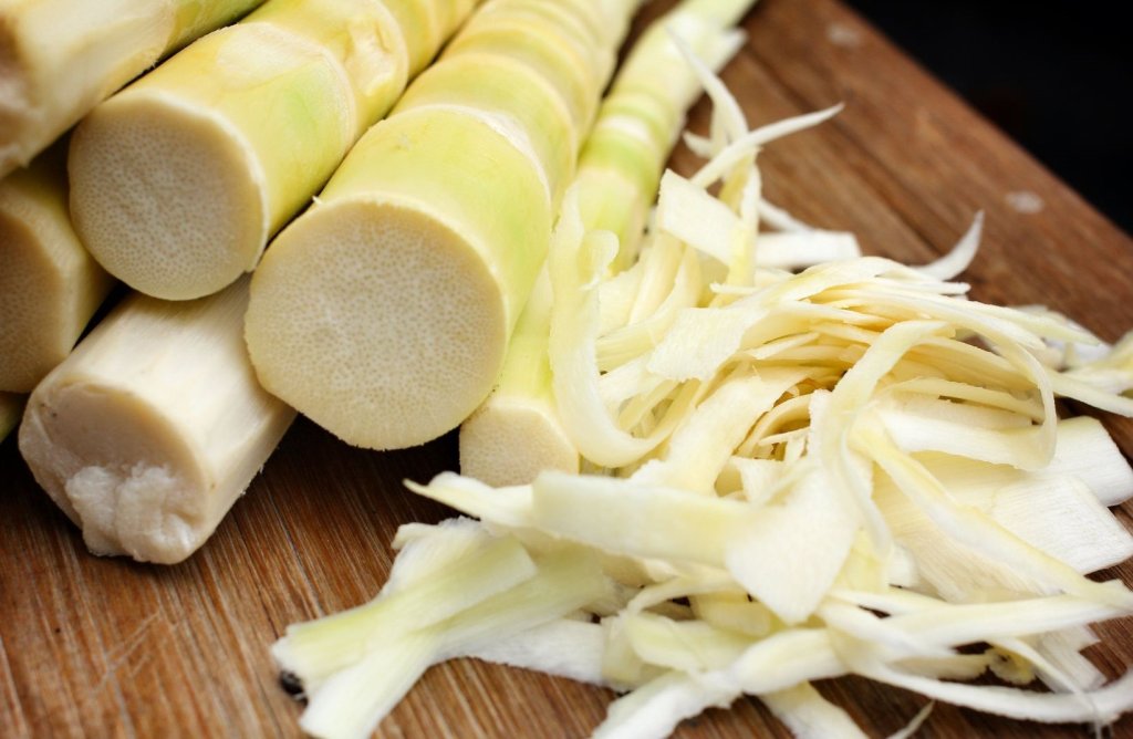 Beneficios para la salud y valor nutritivo del brote de bambú