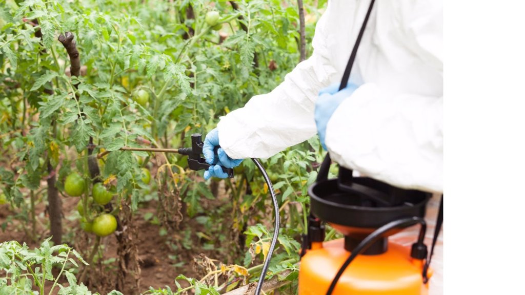 Chemical hazards in food
