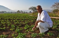 मूंगफली की सर्वोत्तम किस्मों के चयन के सिद्धांत मूंगफली की सर्वोत्तम किस्मों के चयन के सिद्धांत: एक व्यापक मार्गदर्शिका