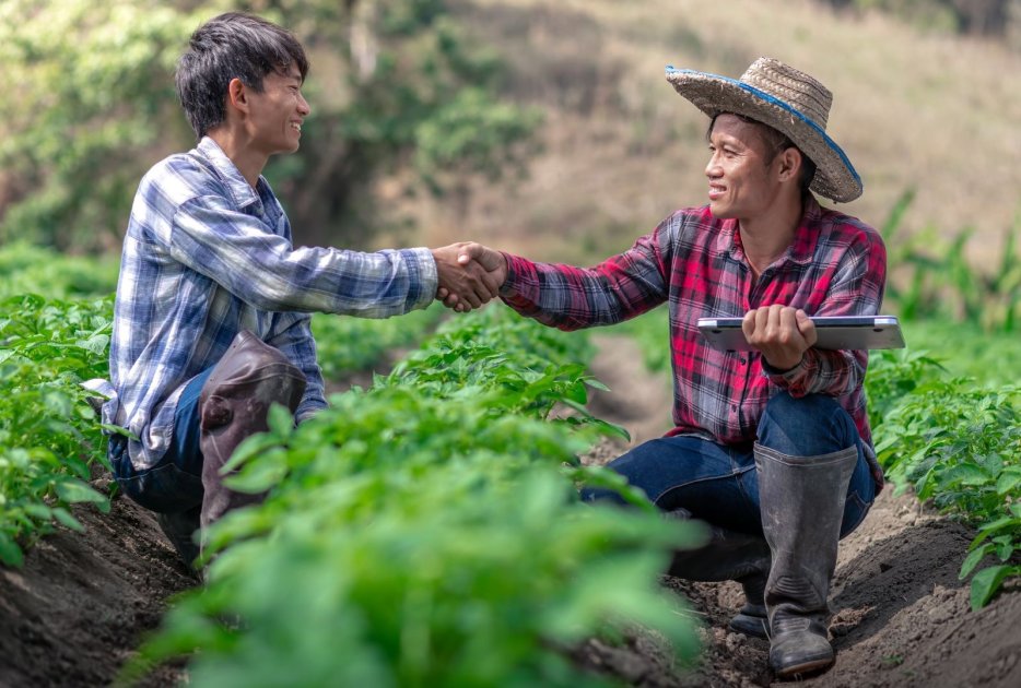 Community-Supported Agriculture (CSA) Redefining the Consumer-Producer ...