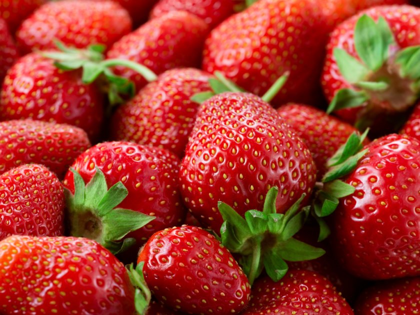 Interesting Facts About Strawberries Wikifarmer