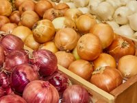 Interesting Facts about Onions