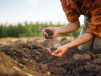 Λιπάσματα βιολογικής προέλευσης: μια βιώσιμη εναλλακτική των συνθετικών λιπασμάτων