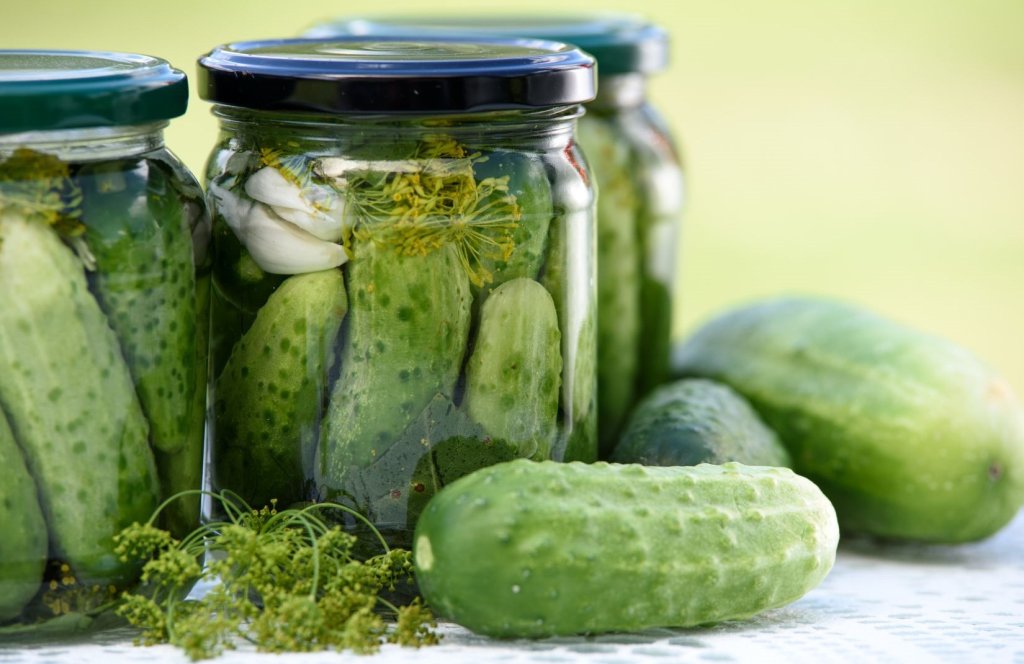 Historia del pepino, información sobre la planta, datos de interés y valor nutritivo