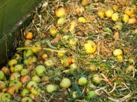 Biocompostagem utilizando subprodutos agrícolas