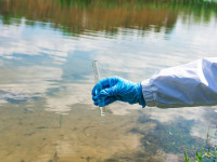 Bioremediation as a Sustainable Solution for Heavy Metal Contamination in Water
