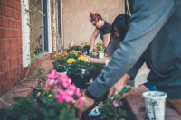Guerrilla gardening (ή αντάρτικη κηπουρική στην πόλη)