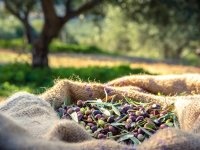 Προϊόντα ΠΟΠ (Προστατευόμενη Ονομασία Προέλευσης)