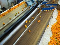 HACCP - Ανάλυση Κινδύνων και Κρίσιμων Σημείων Ελέγχου
