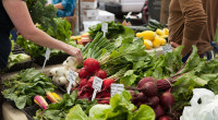Η στρατηγική “Από το Αγρόκτημα στο Πιάτο” (Farm-to-Table) και ο Αντίκτυπός του στους Αγρότες
