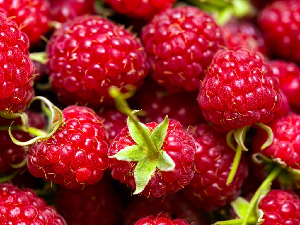 10 beneficios de las frambuesas para la salud