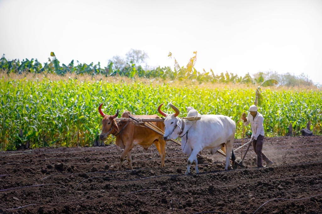 Organic-Farming-2 Organic Fertilizers: A Comprehensive Guide
