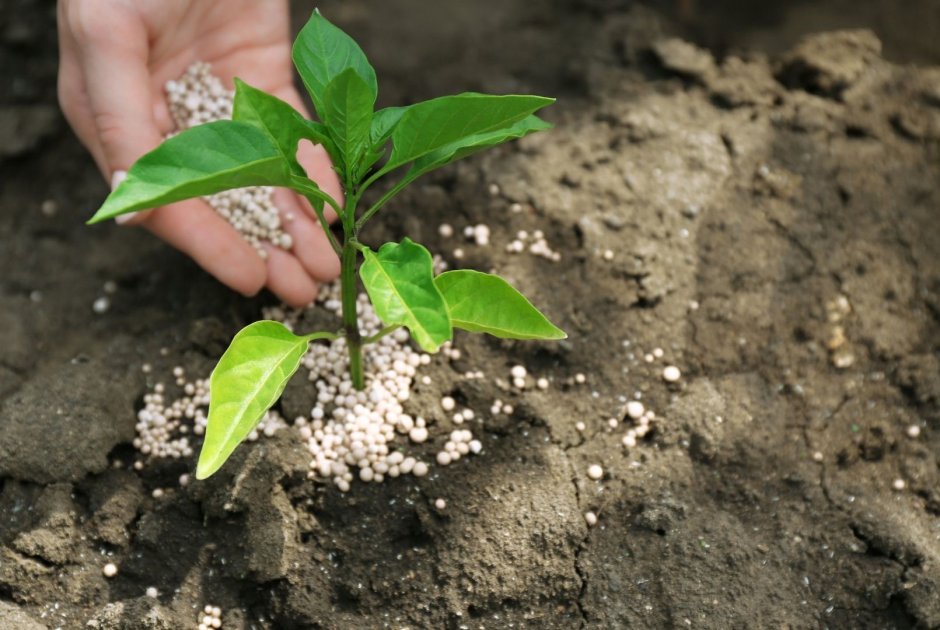 Qu Est Ce Que Le Ruissellement De Nutriments Wikifarmer