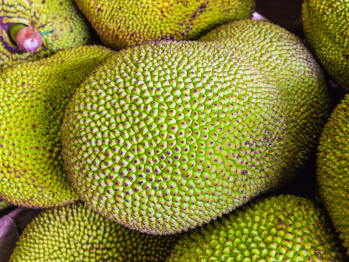 Le Jacquier: Le fruit indigène nutritif de l'Inde