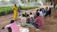 Lignes directrices pour une utilisation sûre et efficace des produits chimiques en agriculture pour la protection des cultures