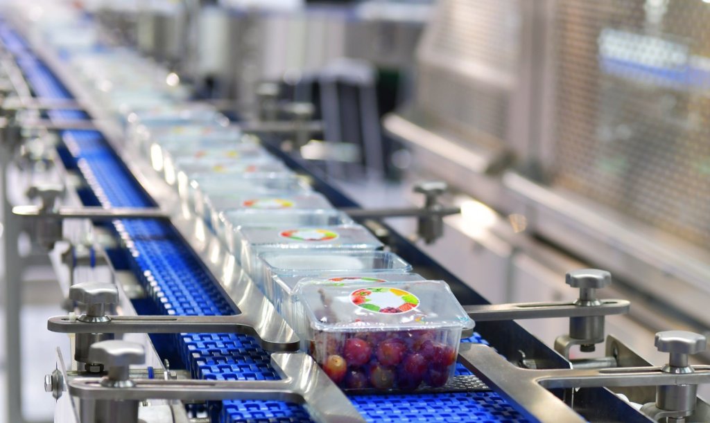 Revolutionizing Agro-Marketing: Sustainability, IP Rights, and Branding