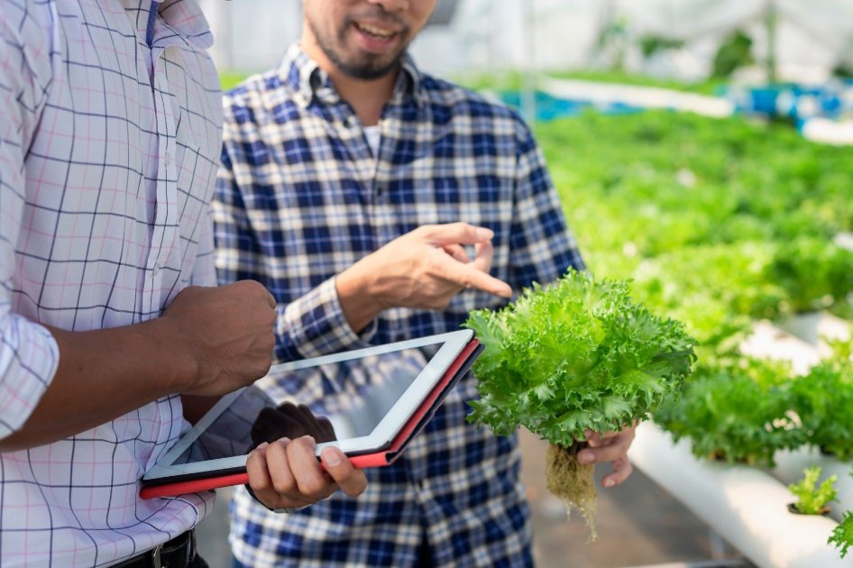 Maximize Your Agribusiness Success with Top Marketing Strategies ...
