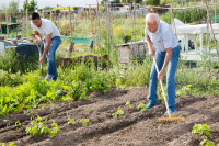 Agrotourism, a way to reconnect with our roots