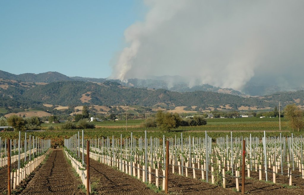 Utilizar avionetas agrícolas para luchar contra los incendios forestales