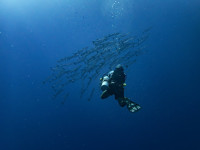 Aquaculture & Tourism – A New Partnership for Sustainable Development and Environmental Awareness