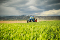 Common Agricultural Practices: From Sowing to Harvest