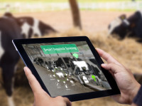 Sürdürülebilirliği Geliştirmek İçin Hayvancılık ve AgTech