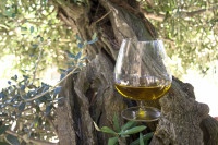 Τα Οφέλη του Ελαιολάδου για την Υγεία