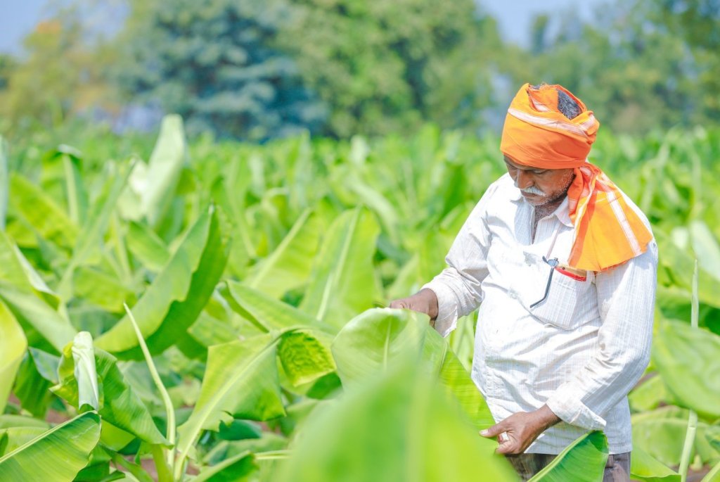 Copy of DigiMa Project - 3 Organisations de producteurs agricole: Une solution prometteuse pour l’amélioration des revenues des petits agriculteurs