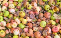 Cómo reducir y reutilizar los residuos alimentarios