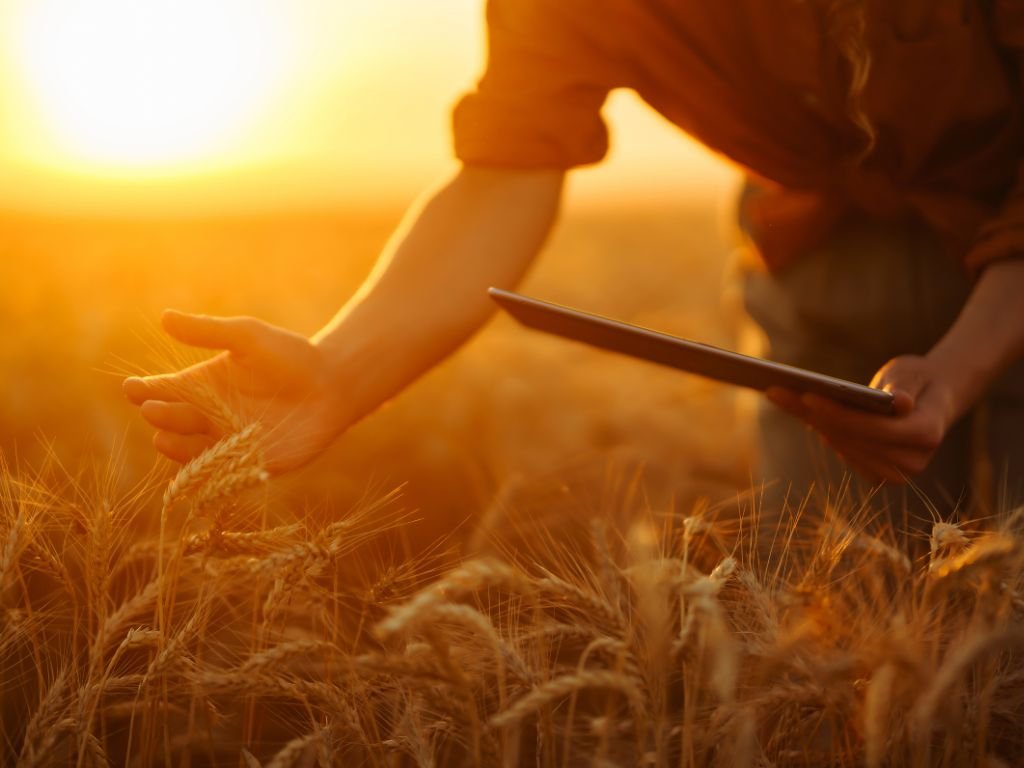 El papel de las soluciones digitales para democratizar la agricultura