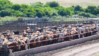 La huella de carbono en las cadenas agroindustriales